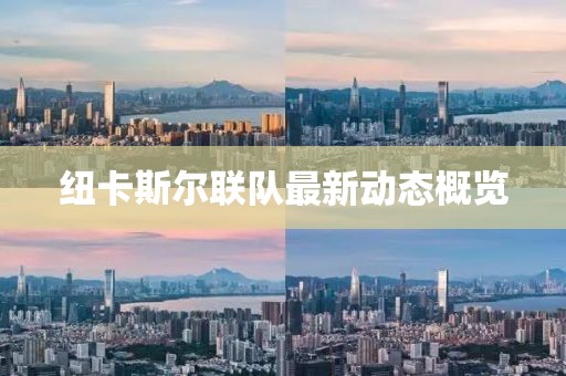 紐卡斯?fàn)柭?lián)隊(duì)最新動(dòng)態(tài)概覽