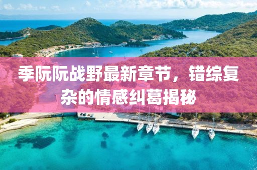 季阮阮戰(zhàn)野最新章節(jié)，錯綜復(fù)雜的情感糾葛揭秘