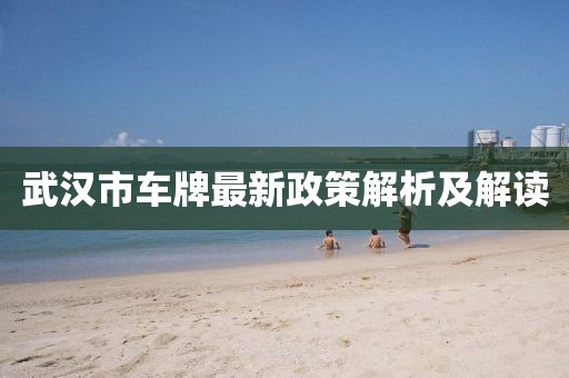 武漢市車牌最新政策解析及解讀