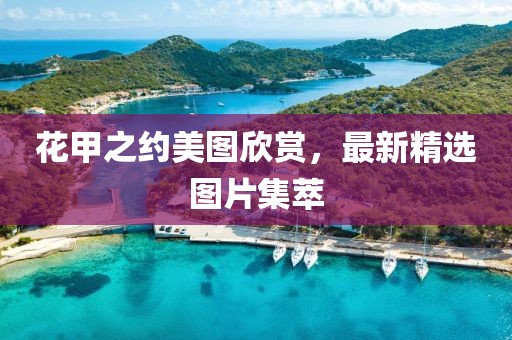 花甲之約美圖欣賞，最新精選圖片集萃