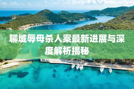 聊城辱母殺人案最新進(jìn)展與深度解析揭秘