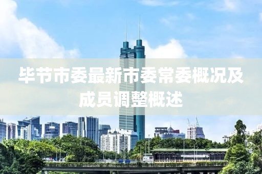 畢節(jié)市委最新市委常委概況及成員調(diào)整概述