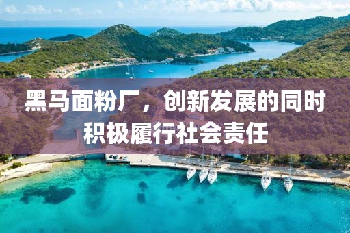 黑馬面粉廠，創(chuàng)新發(fā)展的同時積極履行社會責任