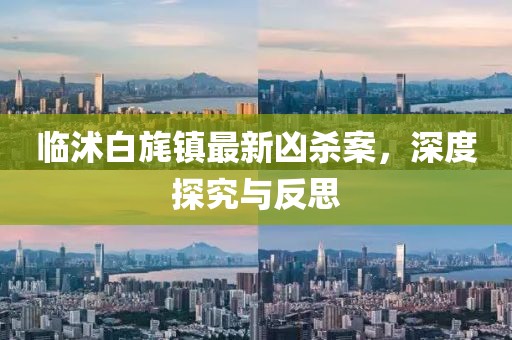 臨沭白旄鎮(zhèn)最新兇殺案，深度探究與反思
