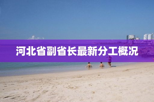 河北省副省長最新分工概況