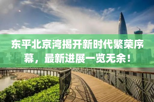 東平北京灣揭開新時代繁榮序幕，最新進展一覽無余！