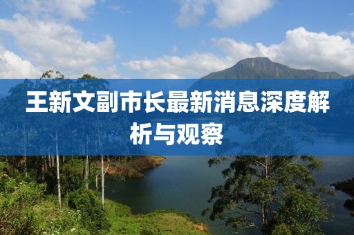 王新文副市長(zhǎng)最新消息深度解析與觀察