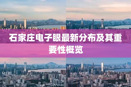 石家莊電子眼最新分布及其重要性概覽