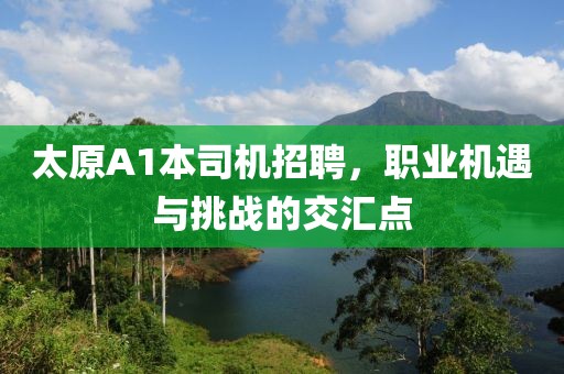 太原A1本司機(jī)招聘，職業(yè)機(jī)遇與挑戰(zhàn)的交匯點(diǎn)