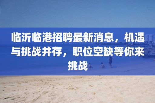 臨沂臨港招聘最新消息，機(jī)遇與挑戰(zhàn)并存，職位空缺等你來挑戰(zhàn)