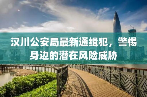 漢川公安局最新通緝犯，警惕身邊的潛在風(fēng)險(xiǎn)威脅