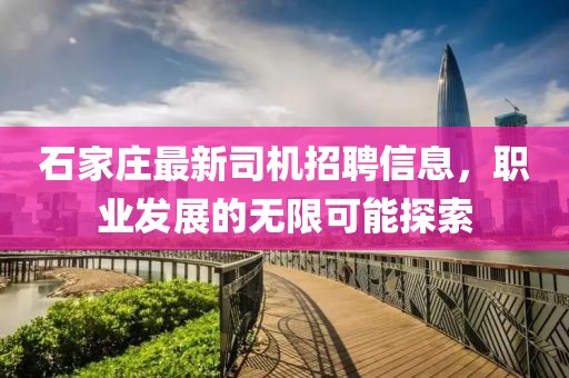 石家莊最新司機(jī)招聘信息，職業(yè)發(fā)展的無(wú)限可能探索