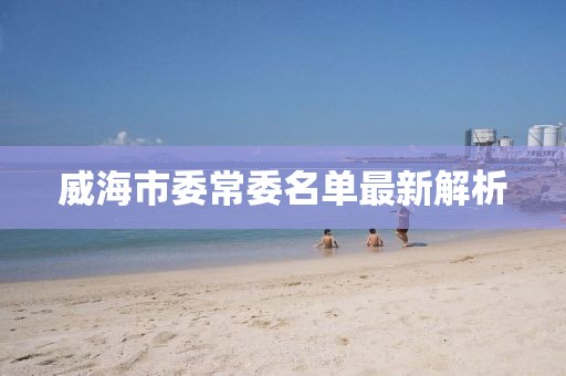 威海市委常委名單最新解析