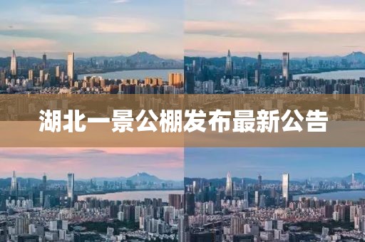 湖北一景公棚發(fā)布最新公告
