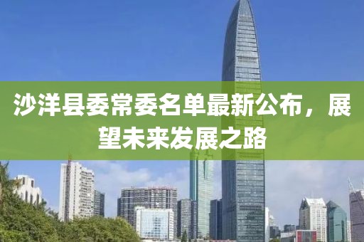 沙洋縣委常委名單最新公布，展望未來發(fā)展之路