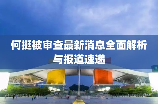何挺被審查最新消息全面解析與報(bào)道速遞
