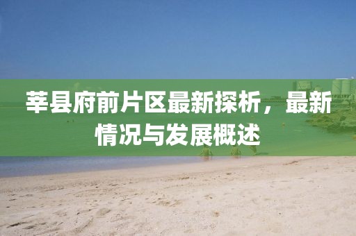 莘縣府前片區(qū)最新探析，最新情況與發(fā)展概述