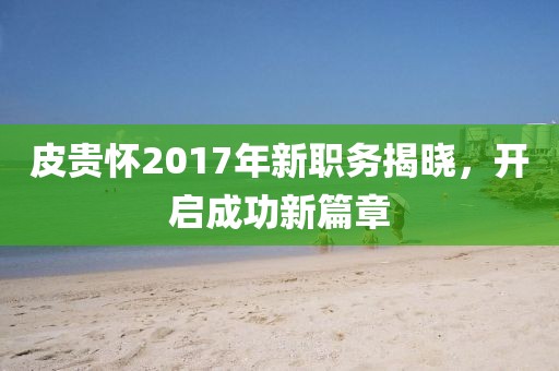皮貴懷2017年新職務揭曉，開啟成功新篇章