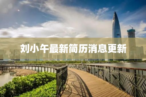 劉小午最新簡(jiǎn)歷消息更新