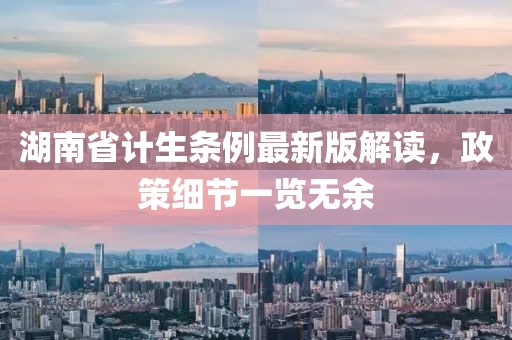 湖南省計(jì)生條例最新版解讀，政策細(xì)節(jié)一覽無余