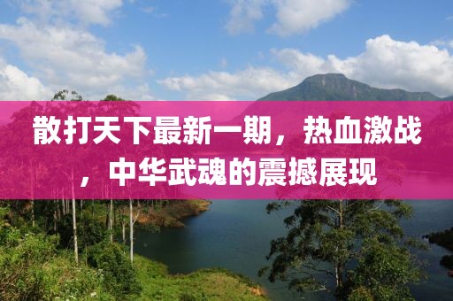 散打天下最新一期，熱血激戰(zhàn)，中華武魂的震撼展現(xiàn)