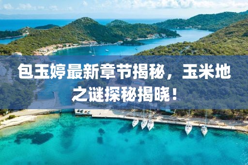 包玉婷最新章節(jié)揭秘，玉米地之謎探秘揭曉！