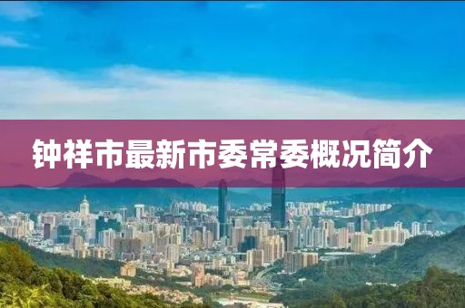 鐘祥市最新市委常委概況簡介