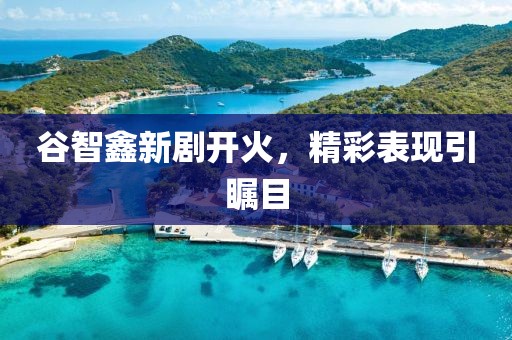 谷智鑫新劇開火，精彩表現(xiàn)引矚目