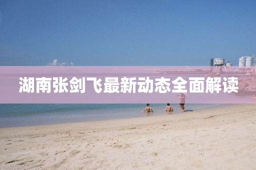 湖南張劍飛最新動態(tài)全面解讀