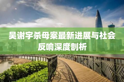 吳謝宇殺母案最新進(jìn)展與社會(huì)反響深度剖析