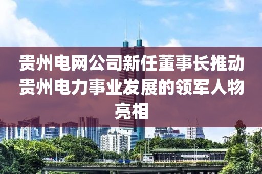 貴州電網(wǎng)公司新任董事長推動(dòng)貴州電力事業(yè)發(fā)展的領(lǐng)軍人物亮相