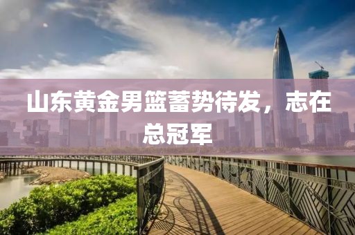 山東黃金男籃蓄勢待發(fā)，志在總冠軍