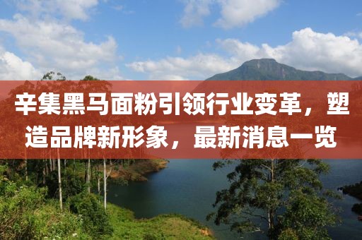 辛集黑馬面粉引領(lǐng)行業(yè)變革，塑造品牌新形象，最新消息一覽