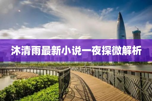沐清雨最新小說一夜探微解析