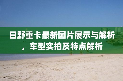日野重卡最新圖片展示與解析，車型實(shí)拍及特點(diǎn)解析