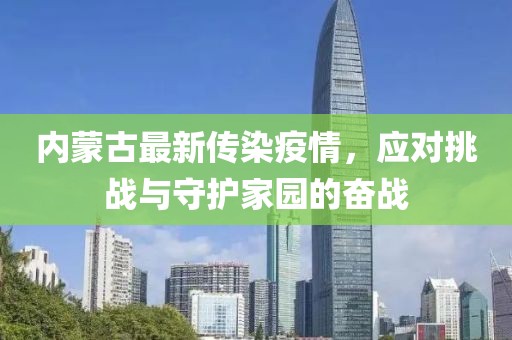 內(nèi)蒙古最新傳染疫情，應(yīng)對挑戰(zhàn)與守護家園的奮戰(zhàn)
