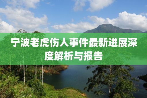 寧波老虎傷人事件最新進展深度解析與報告