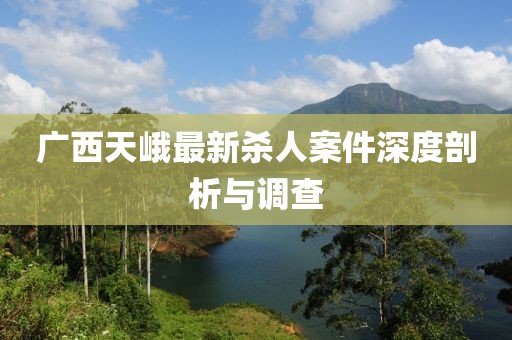廣西天峨最新殺人案件深度剖析與調(diào)查