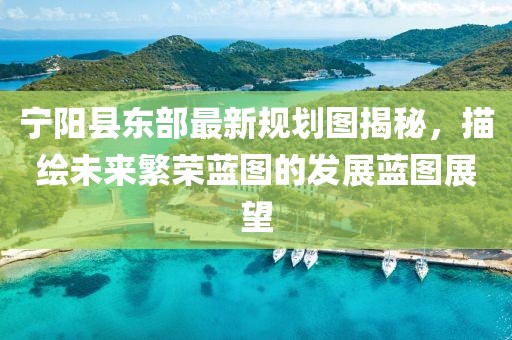 寧陽縣東部最新規(guī)劃圖揭秘，描繪未來繁榮藍(lán)圖的發(fā)展藍(lán)圖展望