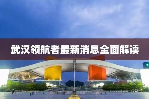 武漢領(lǐng)航者最新消息全面解讀