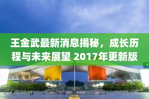王金武最新消息揭秘，成長歷程與未來展望 2017年更新版