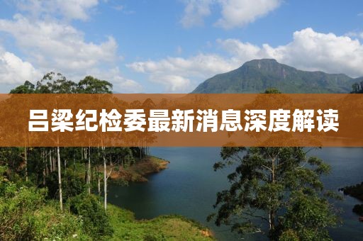 呂梁紀(jì)檢委最新消息深度解讀