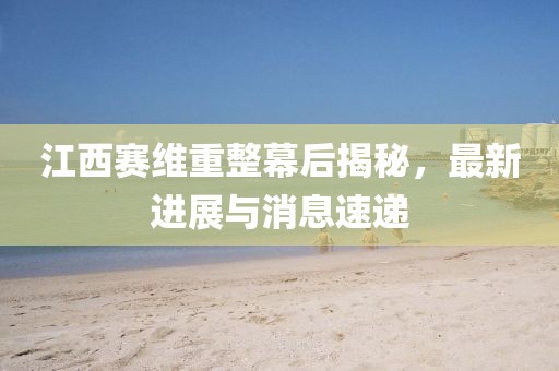 江西賽維重整幕后揭秘，最新進展與消息速遞