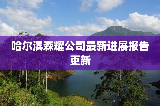 哈爾濱森耀公司最新進展報告更新