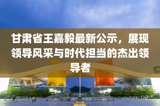 甘肅省王嘉毅最新公示，展現領導風采與時代擔當的杰出領導者