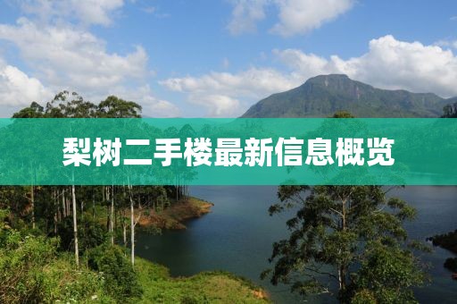 梨樹(shù)二手樓最新信息概覽