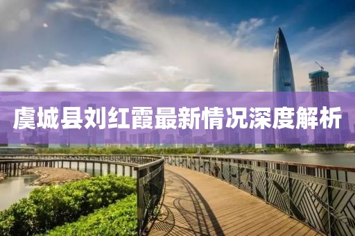 虞城縣劉紅霞最新情況深度解析