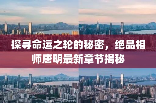 探尋命運(yùn)之輪的秘密，絕品相師唐明最新章節(jié)揭秘