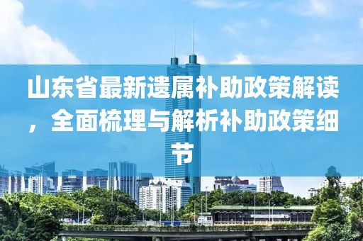 山東省最新遺屬補(bǔ)助政策解讀，全面梳理與解析補(bǔ)助政策細(xì)節(jié)