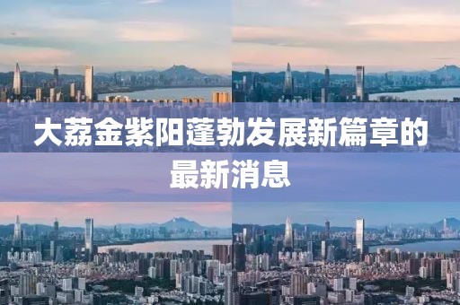 大荔金紫陽蓬勃發(fā)展新篇章的最新消息